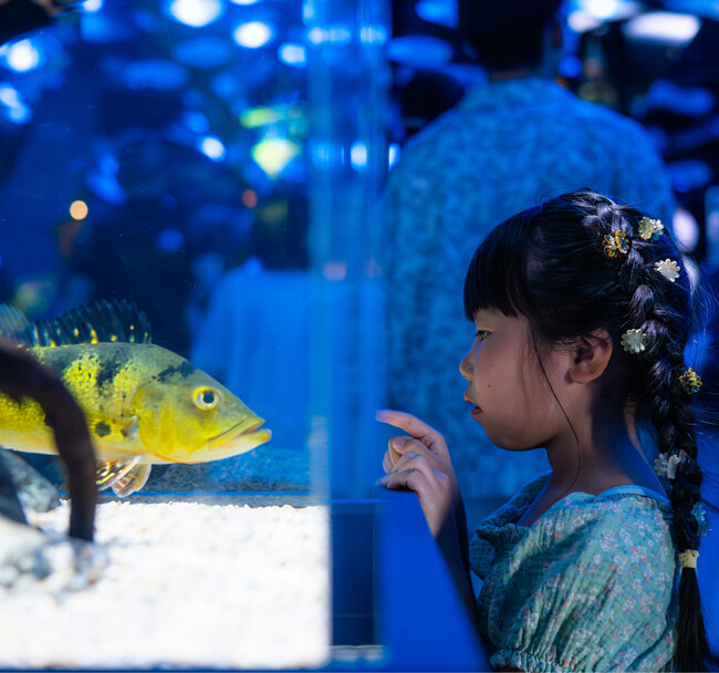 「やっぱり水族館っていいなフォトコンテスト2023」入賞作品が決定しました！