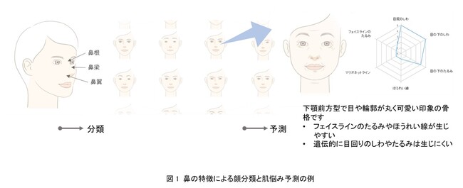 資生堂、顔画像から将来の肌悩みを予測できるツールを開発　～鼻骨格に着目した「予防」型ケアにつながる新技術をインナービューティー事業へ活用～