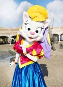 ダルシネア ダルシネア