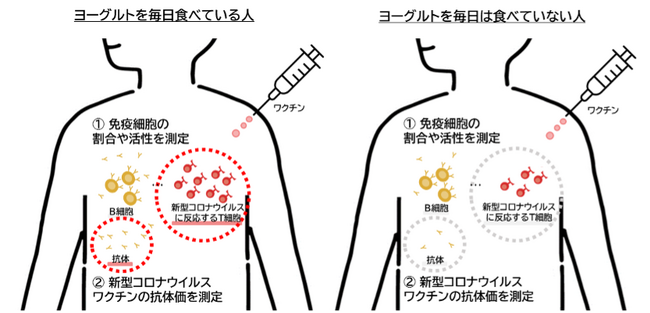 「神奈川県産官学共同　コロナウイルス抗体価社会調査プロジェクト」中間報告