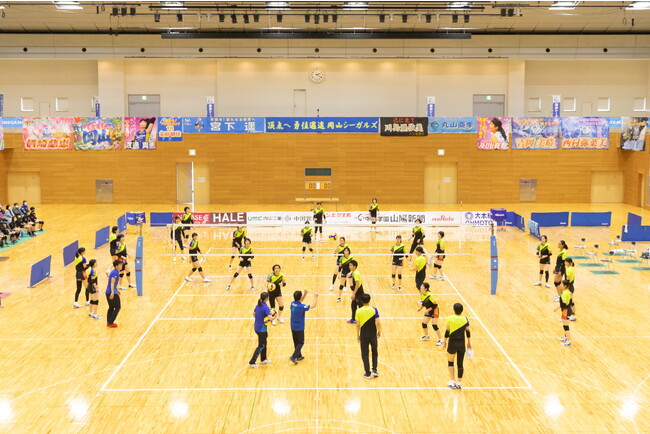 【12月28日開催予定】岡山シーガルズ 公開練習のお知らせ【in 笠岡総合体育館】