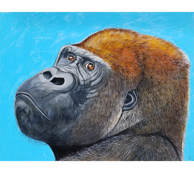 ～ゴリラ　悠々と生きる～「阿部 知暁 絵画展」大丸心斎橋店 アールグロリュー ギャラリー オブ オーサカ
