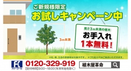 お庭のお手入れサービス「クイック・ガーデニング（植木屋革命）」新CM「1本お試し剪定キャンペーン」篇を公開