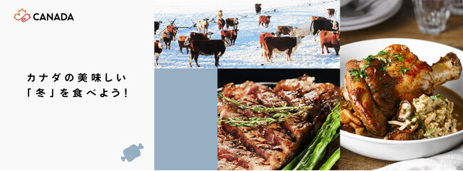 年末年始のホリデーシーズンは、カナダ食材で華やかな食卓を！カナダの美味しい冬を食べよう！「カナダフェア」開催