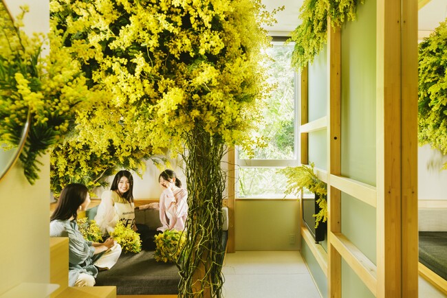 【星野リゾート　BEB5軽井沢】ミモザの映え！と花言葉の「友情」や「ありがとう」を感じる「まるごとミモザステイ」今年も販売｜期間：2024年2月26日～3月31日