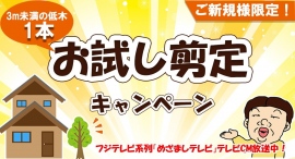 今なら「お試し剪定」で低木1本無料！植木屋革命クイック・ガーデニングの剪定サービスを体験できる、お試し剪定キャンペーン開催中