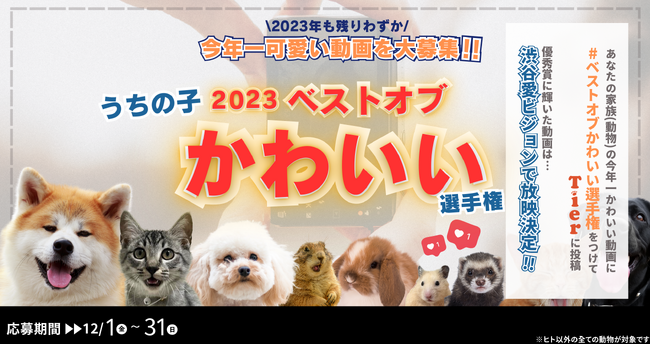 うちの子の動画が大型ビジョンで放映される今年最後のチャンス！「2023年うちの子ベストオブかわいい選手権」開催！