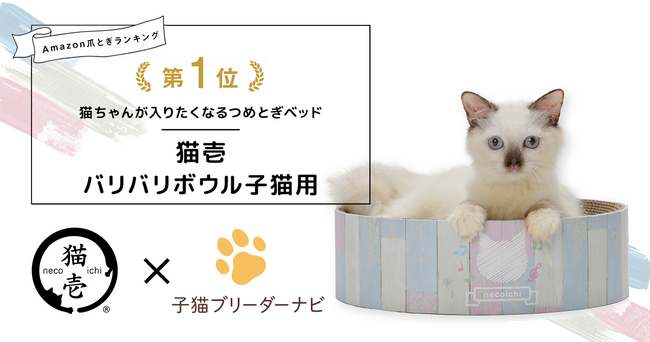 【成約特典追加】子猫ブリーダーナビ『バリバリボウル子猫用』を12月よりプレゼント！