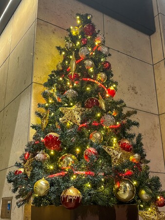 船橋ケイバ 第９回開催〔１２月１６日（土）～１２月２０日（水）〕