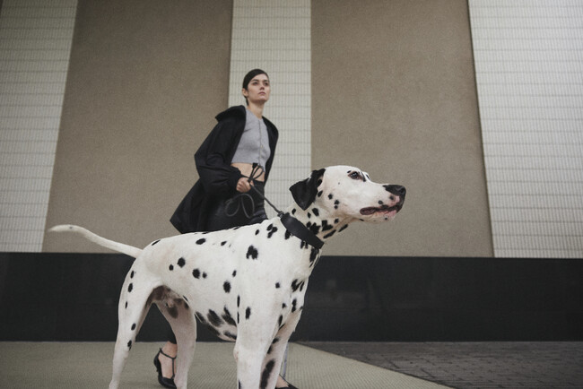 愛犬と愛犬家のためのファッションブランド「INUS」が12月1日(金)にローンチ！