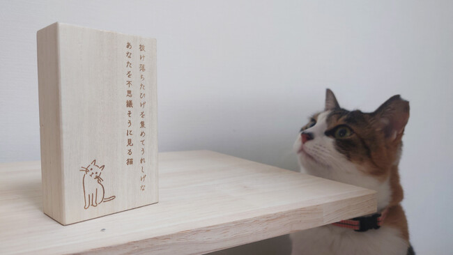 落ちているのを見つけると、ちょっと嬉しい愛猫の「ひげ」を大切に保管できる『猫のいる家に帰りたい ねこひげケース』が発売