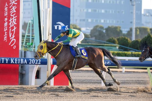 12月29日（金）は今年最後のGIレース「東京大賞典」！フジテレビ系列4局およびBSフジでの生中継が決定！