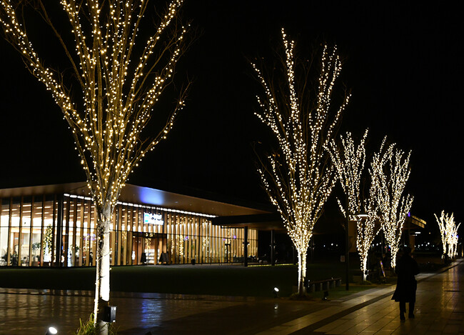 高槻市の安満遺跡公園がLED７万球のイルミネーションで華やぐ