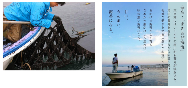 【横須賀市ふるさと納税】脱サラして海苔漁師に挑戦の次女