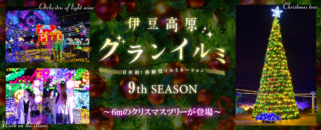 伊豆高原グランイルミに6mの巨大クリスマスツリーが登場!