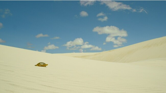 IHI 創業170周年の軌跡と未来への歩みを“着実に前進するカメ”に込めた新CMを公開『道程』篇が12月5日（火）より放映開始