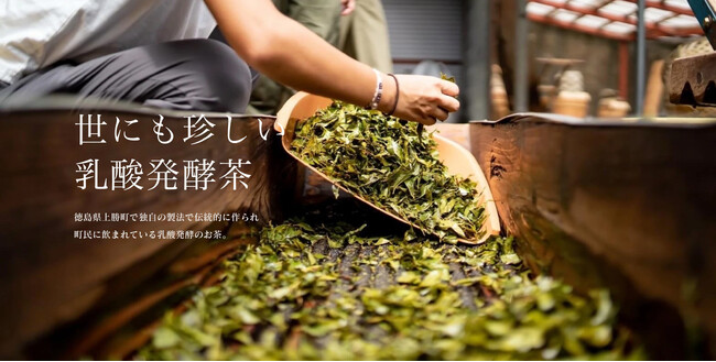 「上勝阿波晩茶を未来につなごうプロジェクト」続報。日本を代表するレストラン、料理店（４店）が共同で、2023 年12 月から「上勝阿波晩茶ＣＳＡ」を発足。