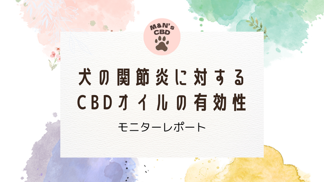 シニア犬の関節痛に対するCBDオイルは有効か？CBDモニター検証レポート