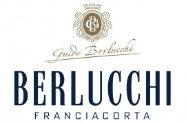 ベルルッキロゴ