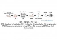 【東京医科大学】母親の飲酒や糖尿病に胎内暴露された児の運動学習障害を末梢血を用いて予測する新たな手法を発見～機械学習を用いた末梢血単核球の選択的スプライシングによる運動学習障害の予測～