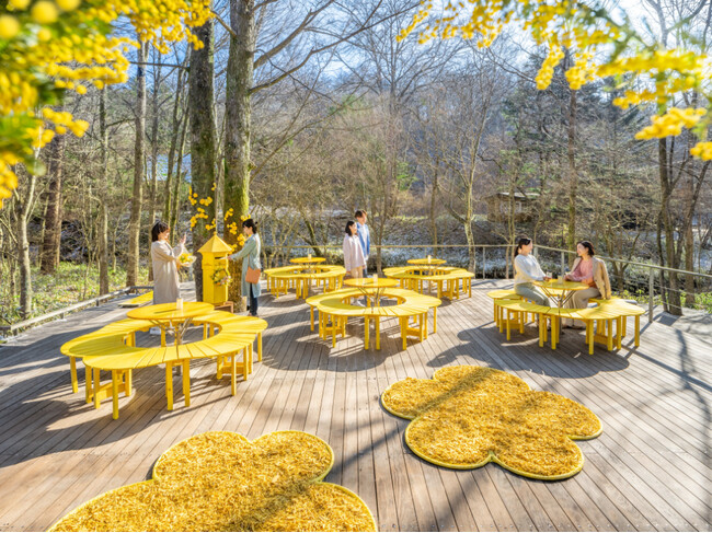 【軽井沢星野エリア】ミモザ色の空間で感謝の気持ちを伝えるイベント「Hello Yellow」開催｜期間：2024年3月1日～4月14日
