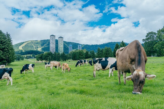 【星野リゾート　トマム】「旅×農業」がコンセプトの循環型農業プロジェクト「ファーム星野」の動画を公開｜公開日：2023年11月30日