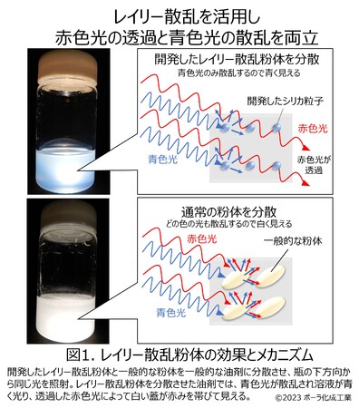 肌内外で光を余すことなく活用 見た目も美しくハリのある肌に