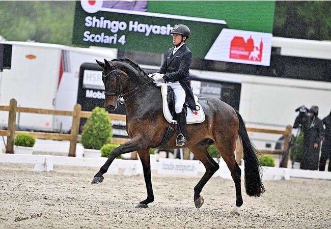 馬に関するモノやコトを一同に集めた日本最大級の馬の祭典！「第6回ホースメッセ TOKYO2024」