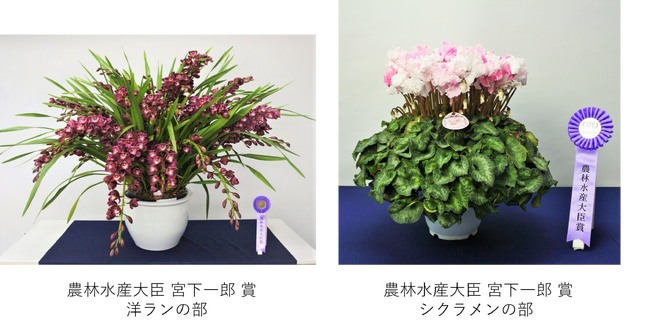 東京砧花き園芸市場が「第23回東京砧花き全国品評会」を開催