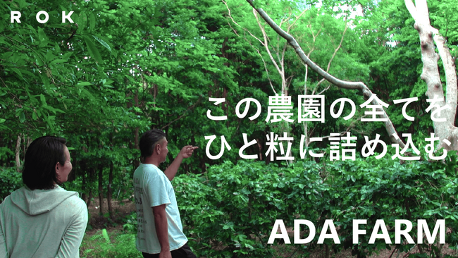 【ROK Coffee Japan】沖縄コーヒー農園 アダ・ファームのドキュメンタリームービーを公開