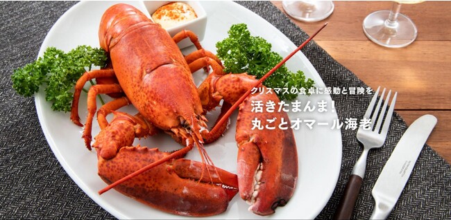 クリスマスの食卓に感動と冒険を。魚屋サカナバッカが『活きたまんま！丸ごとオマール海老』のオンライン予約販売開始