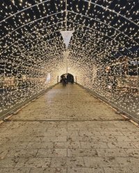 「もりおかイルミネーションブライト2023-2024」　盛岡市中心市街地エリアで2024年2月29日(木)まで開催