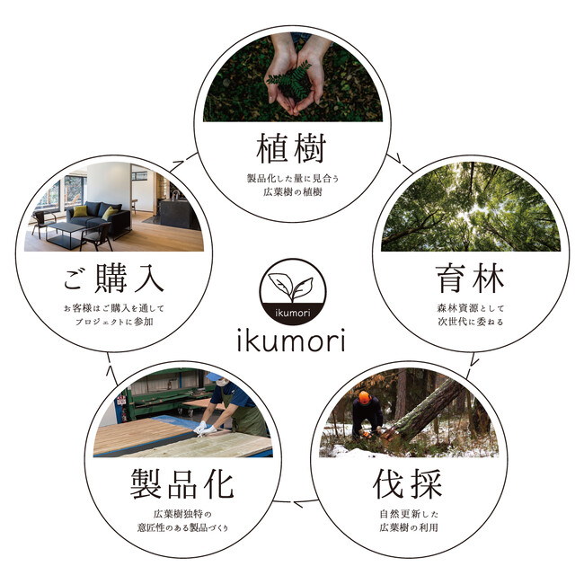 北海道産広葉樹をいただいた量だけ森にお返しするikumoriプロジェクト「年次報告書2023」を公開