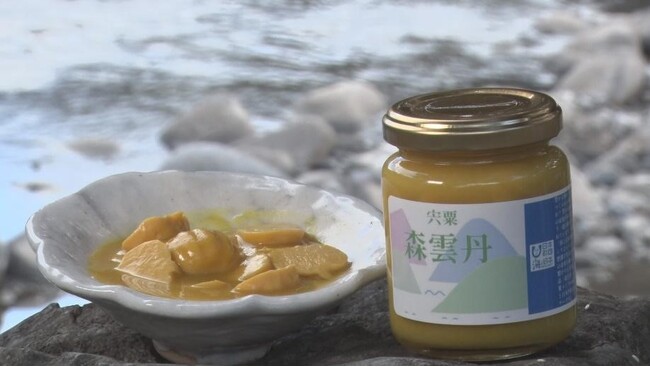 海と日本プロジェクト in ひょうご × 道の駅みなみ波賀　植物性素材のシーフード「宍粟 森雲丹」が完成！