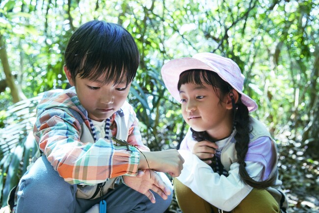 【星野リゾート　西表島ホテル】西表島に棲む多種多様な生き物と友だちになろう！「友だち100匹できるかな」開催｜期間：2024年3月20日～5月31日