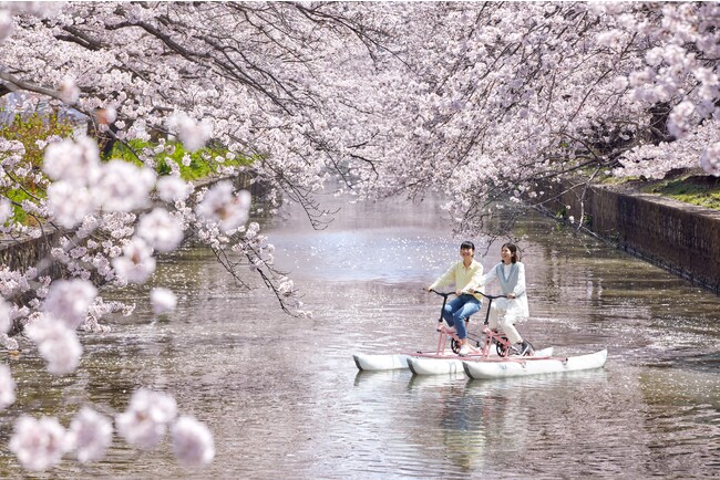 【星野リゾート　BEB5土浦】桜の絶景を川面から独り占め！「お花見水上サイクリング」今年も開催｜期間：2024年3月25日～4月10日