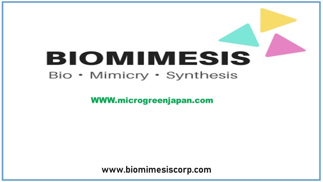 日本初・業界初！Bioactive Molecules-健康ベネフィトが謳われているアブラナ科幼野菜に特化したスーパーフード中の「スーパーフード」、マイクログリーンサラダミックスがもたらすサラダ革命！