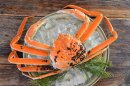蒸風呂松葉ガニ①/税込価格:12,290 円 蒸風呂松葉ガニ①/税込価格:12,290 円