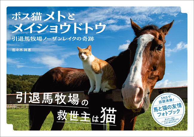 【発売初日に重版決定】大人気の元競走馬と猫のフォトブック『ボス猫メトとメイショウドトウ』