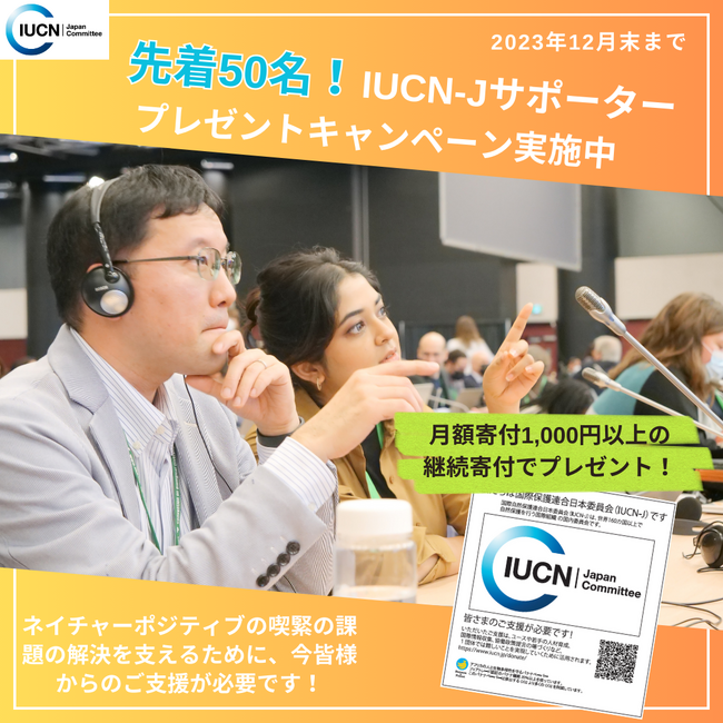 2023年12月末まで先着50名　IUCN-J「サポータープレゼントキャンペーン」実施中！