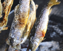 福島“まるごと魚まつり”in豊洲開催
