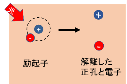 ユニークな性質をもつ次世代半導体、有機半導体を用いた光エレクトロニクスに欠かせない励起子束縛エネルギーの本質を解明