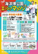 海洋博公園エンジョイマラソン　チラシ