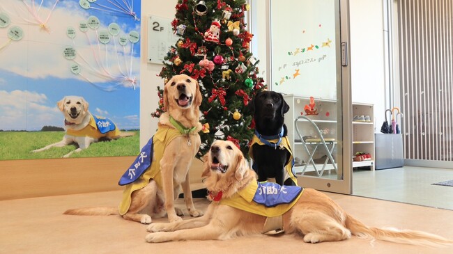 介助犬をもっと身近に！香川県高松市で12/24（日）に介助犬クリスマスイベントを実施(日本介助犬協会)