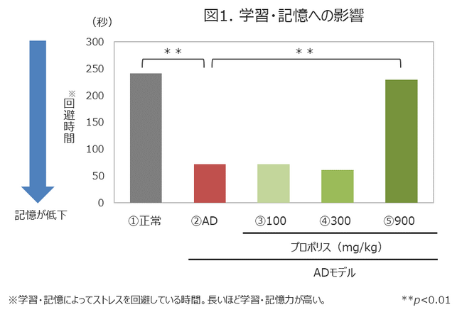 プロポリスが持つ認知機能の低下抑制作用