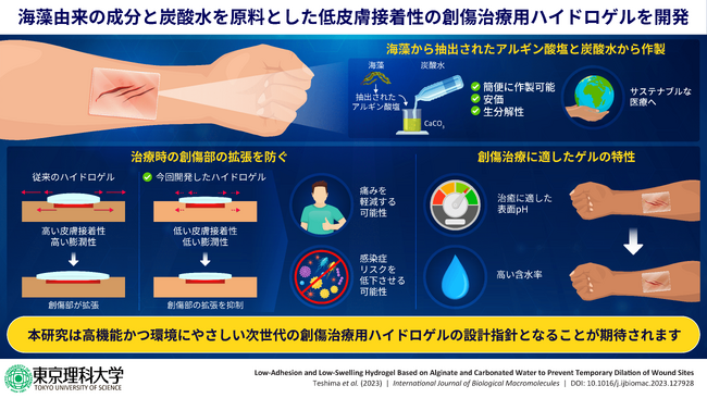 海岸に漂着した海藻の成分と炭酸水を用いて高機能な創傷治療用ゲルを開発