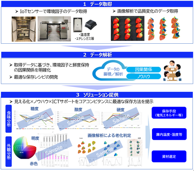 地産品の最適な保存方法確立に向けた研究成果報告および鮮度保持コンサルティングサービスの開始～地産品に応じた保存レシピのコンサルティングにより生鮮品流通の課題を解決、コールドチェーンの価値向上を実現～