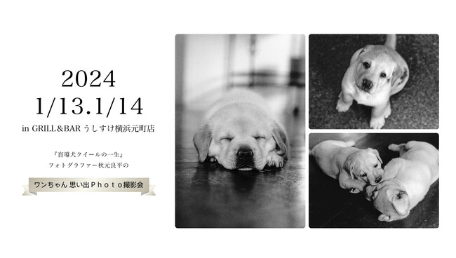 「盲導犬クイールの一生」撮影フォトグラファーによる第2回『ワンちゃん思い出Photo撮影会』イベント開催のお知らせ
