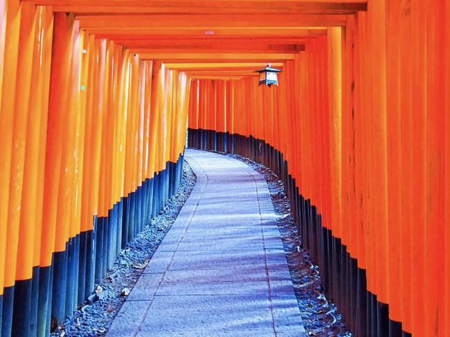 AI×旅行の『AVA Travel』がパワースポットランキング2024を公開