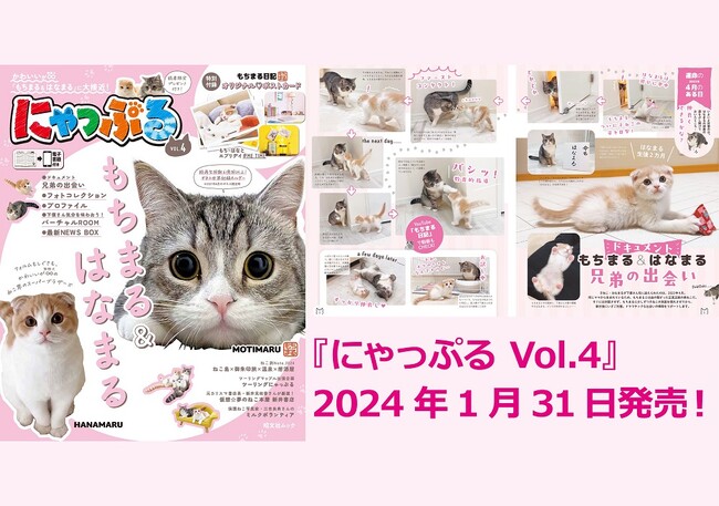 ねこ界のスーパーブラザーズ「もちまる＆はなまる」登場！人気シリーズ第4弾『にゃっぷる Vol.4』1／31発売